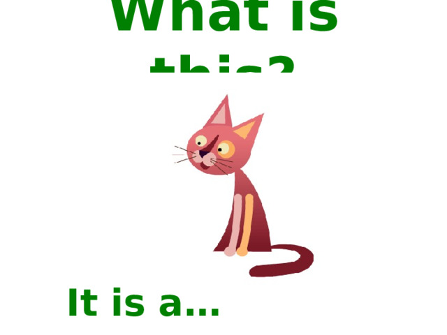 What is this? It is a… 