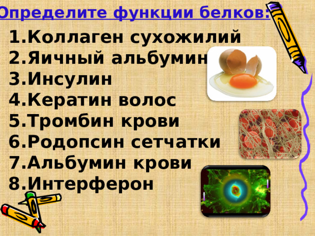 Определите функции белков: Коллаген сухожилий Яичный альбумин Инсулин Кератин волос Тромбин крови Родопсин сетчатки Альбумин крови Интерферон 
