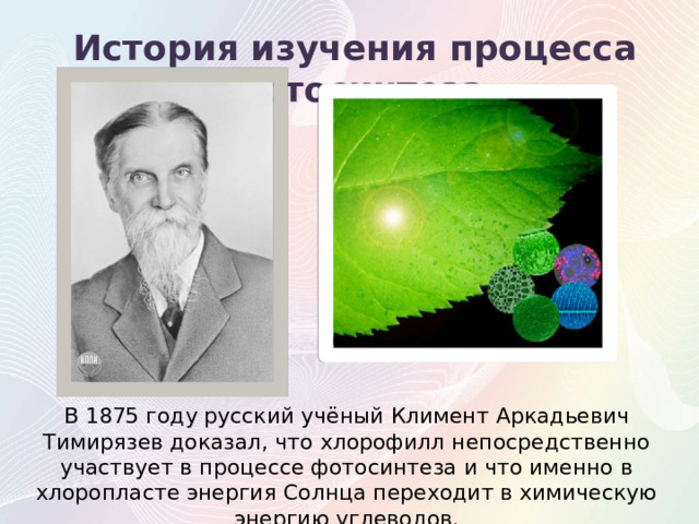 История изучения процесса фотосинтеза В 1875 году русский учёный Климент Аркадьевич Тимирязев доказал, что хлорофилл непосредственно участвует в процессе фотосинтеза и что именно в хлоропласте энергия Солнца переходит в химическую энергию углеводов. 