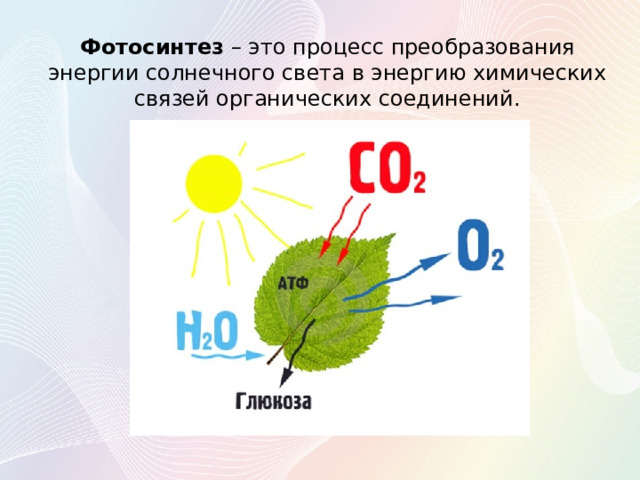Фотосинтез – это процесс преобразования энергии солнечного света в энергию химических связей органических соединений. 