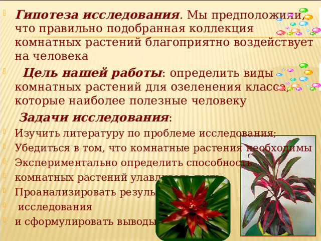 Гипотеза исследования . Мы предположили, что правильно подобранная коллекция комнатных растений благоприятно воздействует на человека  Цель нашей работы : определить виды комнатных растений для озеленения класса, которые наиболее полезные человеку   Задачи исследования : Изучить литературу по проблеме исследования; Убедиться в том, что комнатные растения необходимы Экспериментально определить способность комнатных растений улавливать пыль; Проанализировать результаты  исследования и сформулировать выводы; 