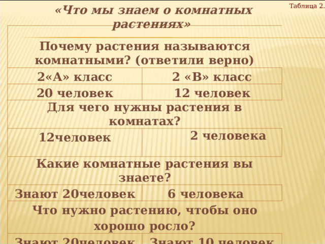 Таблица 2.  «Что мы знаем о комнатных растениях»  Почему растения называются комнатными? (ответили верно) 2«А» класс 20 человек 2 «В» класс 12 человек Для чего нужны растения в комнатах? 12человек  2 человека Какие комнатные растения вы знаете? Знают 20человек  6 человека Что нужно растению, чтобы оно хорошо росло? Знают 20человек Знают 10 человек Как размножаются комнатные растения? Знают 20человек Знают 10человек 