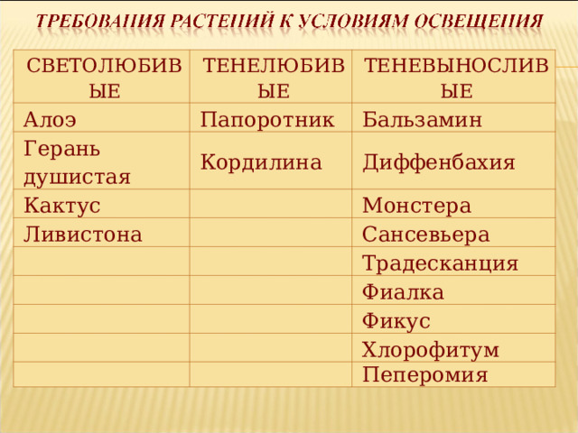СВЕТОЛЮБИВЫЕ ТЕНЕЛЮБИВЫЕ Алоэ ТЕНЕВЫНОСЛИВЫЕ Папоротник Герань душистая Бальзамин Кордилина Кактус Ливистона Диффенбахия Монстера Сансевьера Традесканция Фиалка Фикус Хлорофитум Пеперомия 