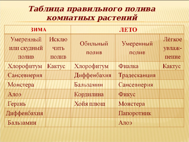 Таблица правильного полива комнатных растений 