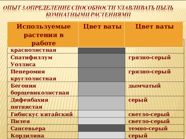 Используемые растения в работе Цвет ваты Цвет ваты Бегония краснолистная Спатифиллум Уоллиса темно-серый Пеперомия круглолистная грязно-серый Бегония борщевиколистная грязно-серый Дифенбахия пятнистая дымчатый Гибискус китайский серый Пилея светло-серый Сансевьера Кордилина светло-серый Контроль темно-серый серый белый  