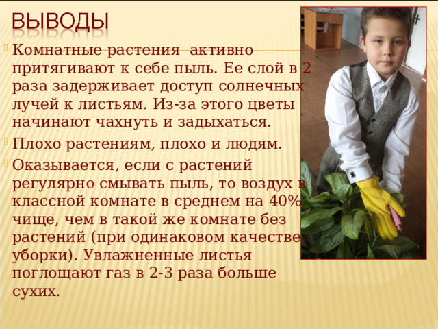 Комнатные растения активно притягивают к себе пыль. Ее слой в 2 раза задерживает доступ солнечных лучей к листьям. Из-за этого цветы начинают чахнуть и задыхаться. Плохо растениям, плохо и людям. Оказывается, если с растений регулярн о смывать пыль, то воздух в классной комнате в среднем на 40% чище, чем в такой же комнате без растений (при одинаковом качестве уборки). Увлажненные листья поглощают газ в 2-3 раза больше сухих.  
