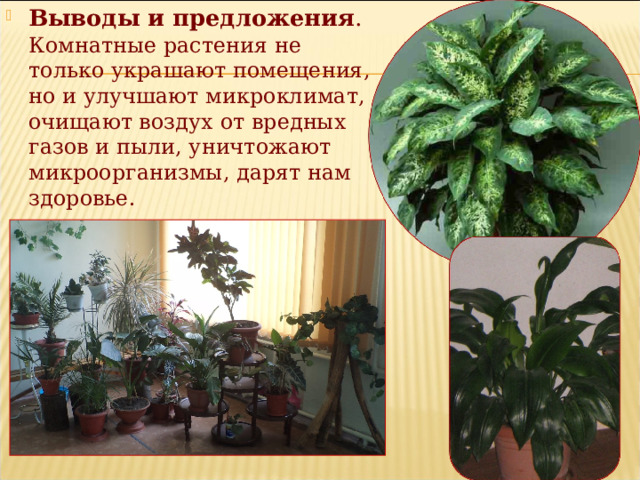 Выводы и предложения . Комнатные растения не только украшают помещения, но и улучшают микроклимат, очищают воздух от вредных газов и пыли, уничтожают микроорганизмы, дарят нам здоровье. 