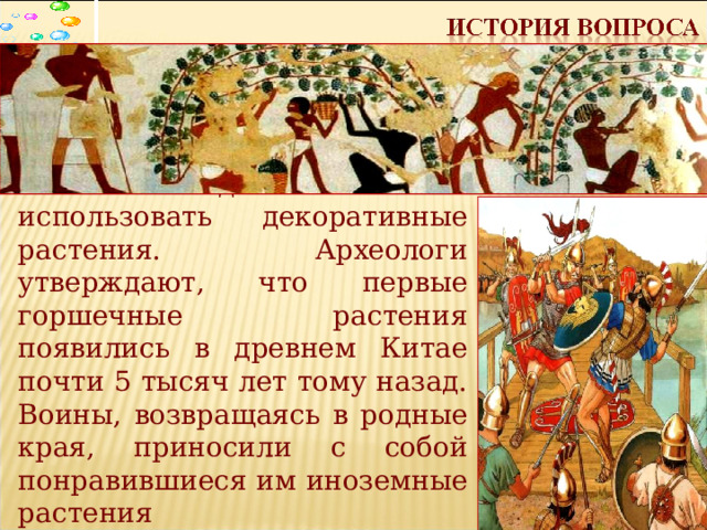 Человек давно начал использовать декоративные растения. Археологи утверждают, что первые горшечные растения появились в древнем Китае почти 5 тысяч лет тому назад. Воины, возвращаясь в родные края, приносили с собой понравившиеся им иноземные растения 