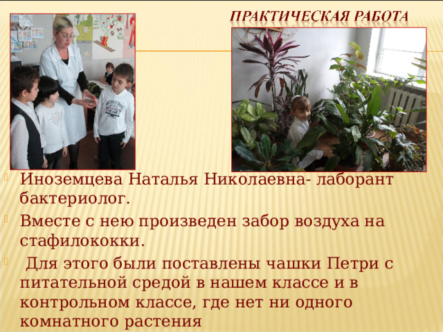 Иноземцева Наталья Николаевна- лаборант бактериолог. Вместе с нею произведен забор воздуха на стафилококки.  Для этого были поставлены чашки Петри с питательной средой в нашем классе и в контрольном классе, где нет ни одного комнатного растения 