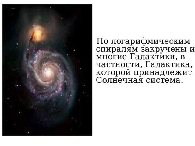  По логарифмическим спиралям закручены и многие Галактики, в частности, Галактика, которой принадлежит Солнечная система. 