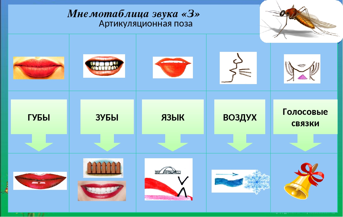 Артикуляция звука с в картинках