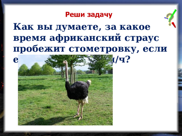 Как вы думаете, за какое время африканский страус пробежит стометровку, если его скорость 72 км/ч?  