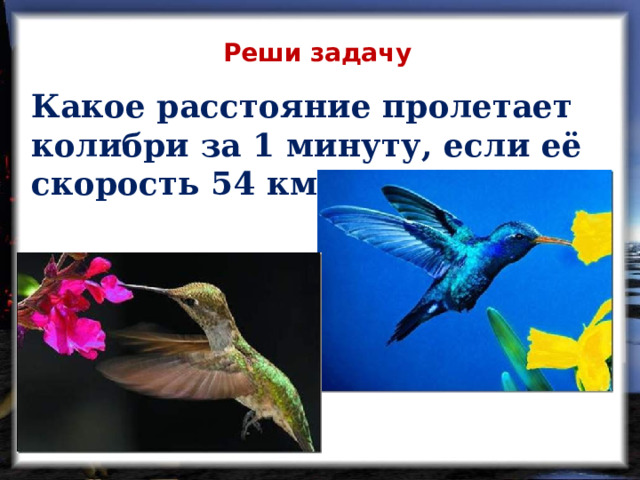 Реши задачу Какое расстояние пролетает колибри за 1 минуту, если её скорость 54 км/ч?  