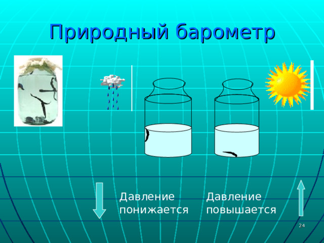 Природный барометр Давление понижается Давление повышается  