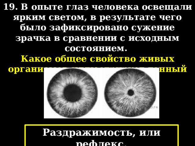 19. В опыте глаз человека освещали ярким светом, в результате чего было зафиксировано сужение зрачка в сравнении с исходным состоянием. Какое общее свойство живых организмов иллюстрирует данный опыт? Раздражимость, или рефлекс. 