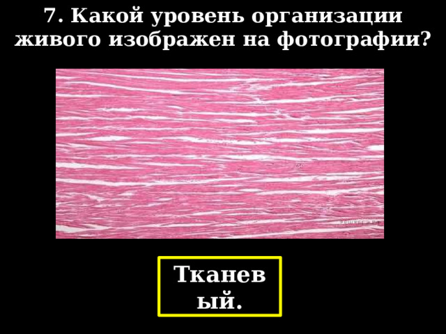 7. Какой уровень организации живого изображен на фотографии? Тканевый. 