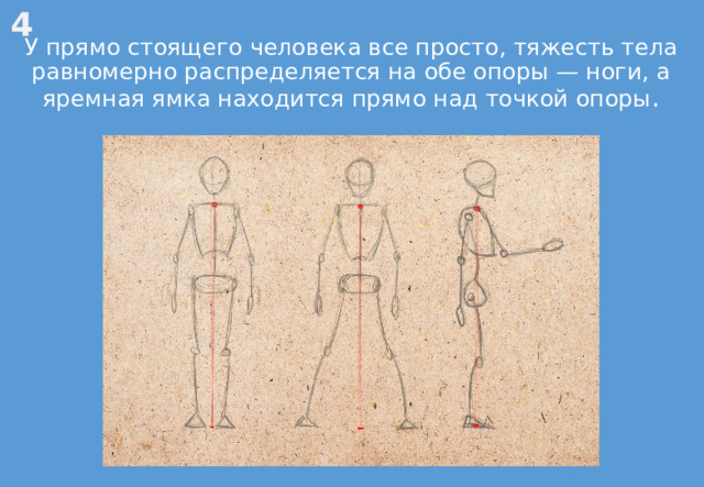 4 У прямо стоящего человека все просто, тяжесть тела равномерно распределяется на обе опоры — ноги, а яремная ямка находится прямо над точкой опоры . 