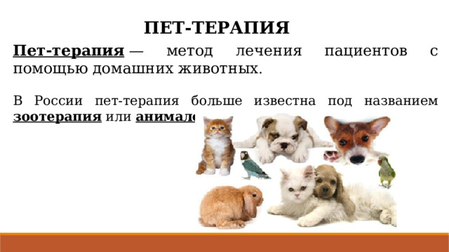 ПЕТ-ТЕРАПИЯ   Пет-терапия  — метод лечения пациентов с помощью домашних животных . В России пет-терапия больше известна под названием зоотерапия или анималотерапия. 