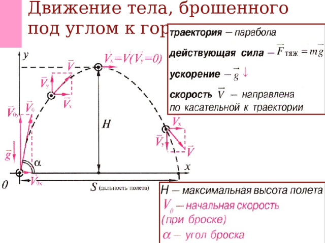 На рисунке представлена траектория движения мяча брошенного