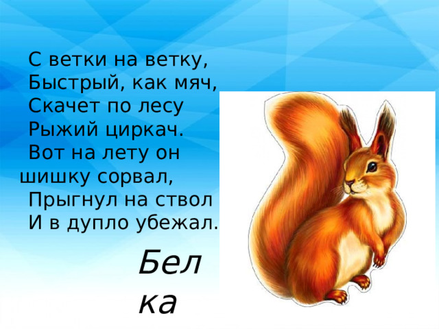 С ветки на ветку, Быстрый, как мяч, Скачет по лесу Рыжий циркач. Вот на лету он шишку сорвал, Прыгнул на ствол И в дупло убежал. Белка 