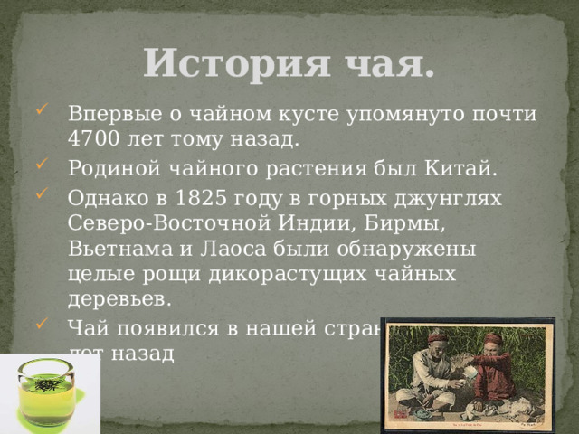 История чая. Впервые о чайном кусте упомянуто почти 4700 лет тому назад. Родиной чайного растения был Китай. Однако в 1825 году в горных джунглях Северо-Восточной Индии, Бирмы, Вьетнама и Лаоса были обнаружены целые рощи дикорастущих чайных деревьев. Чай появился в нашей стране менее 400 лет назад 