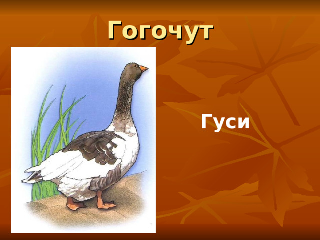 Гогочут Гуси 