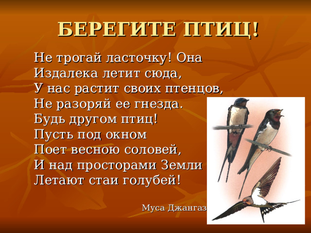 БЕРЕГИТЕ ПТИЦ! Не трогай ласточку! Она Издалека летит сюда, У нас растит своих птенцов, Не разоряй ее гнезда. Будь другом птиц! Пусть под окном Поет весною соловей, И над просторами Земли Летают стаи голубей!  Муса Джангазиев 