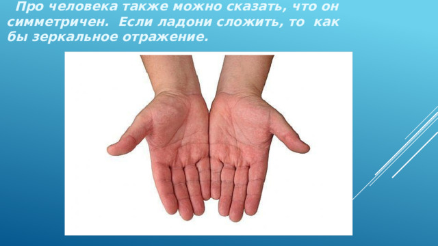  Про человека также можно сказать, что он симметричен. Если ладони сложить, то как бы зеркальное отражение. 