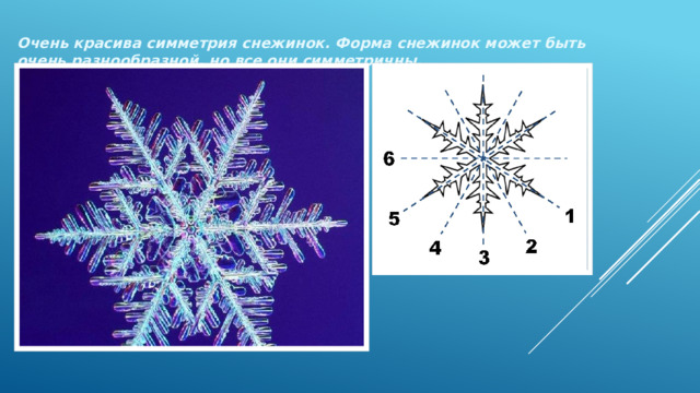  Очень красива симметрия снежинок. Форма снежинок может быть очень разнообразной, но все они симметричны. 