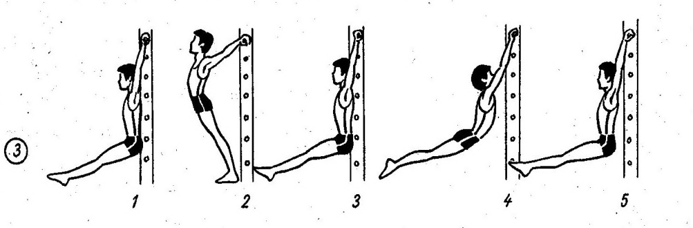Последовательность обучение техники лазания по гимнастической стенке спиной