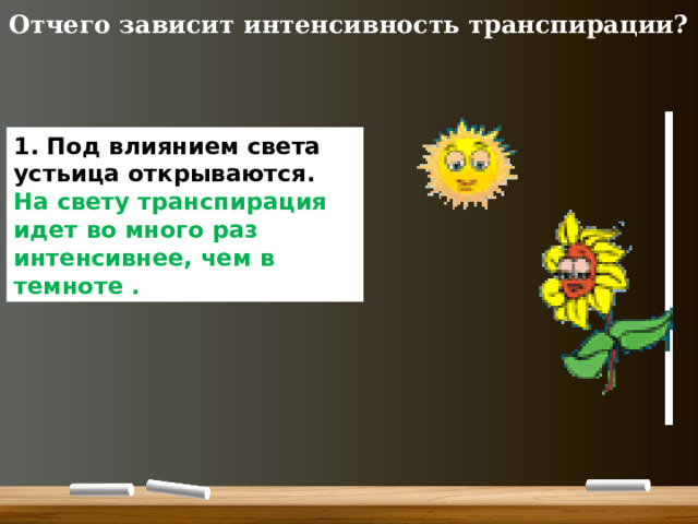 Отчего зависит интенсивность транспирации? 1. Под влиянием света устьица открываются. На свету транспирация идет во много раз интенсивнее, чем в темноте . 