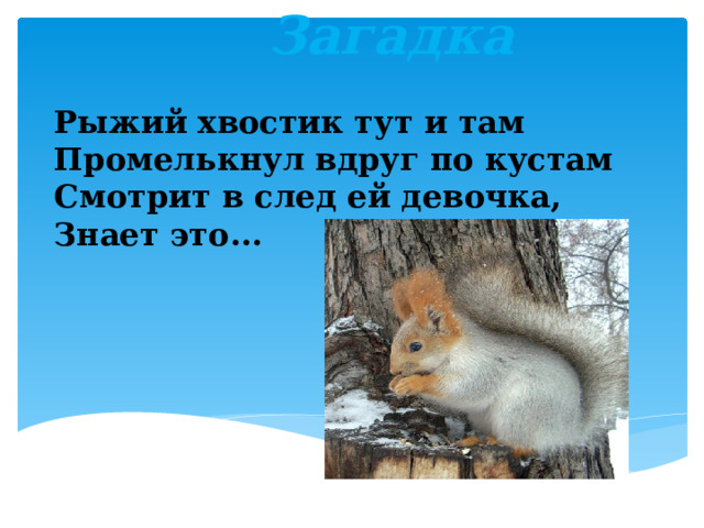 Загадка . Рыжий хвостик тут и там  Промелькнул вдруг по кустам  Смотрит в след ей девочка,  Знает это...   