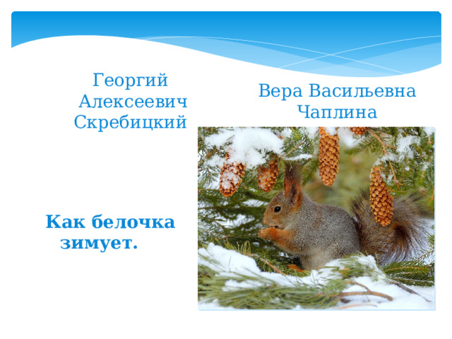 Георгий Алексеевич Скребицкий Вера Васильевна Чаплина Как белочка зимует. 