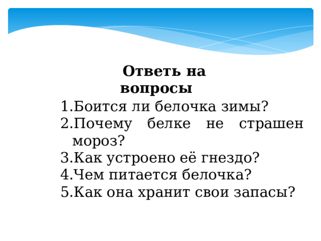 Ответь на вопросы Боится ли белочка зимы? Почему белке не страшен мороз? Как устроено её гнездо? Чем питается белочка? Как она хранит свои запасы? 