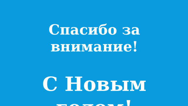 Спасибо за внимание!  С Новым годом! 