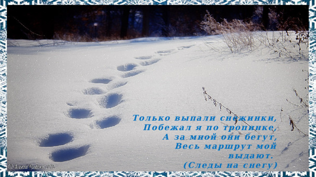Только выпали снежинки, Побежал я по тропинке, А за мной они бегут, Весь маршрут мой выдают. (Следы на снегу) 