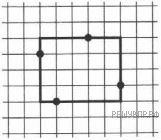 Нарисуй по клеточкам прямоугольник так чтобы все стороны проходили через все отмеченные точки