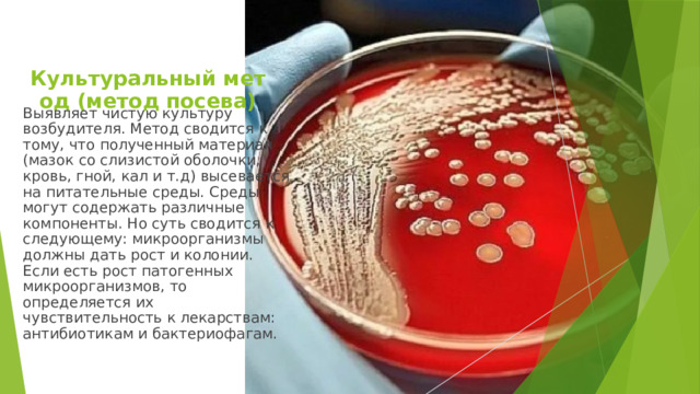  Культуральный метод (метод посева) Выявляет чистую культуру возбудителя. Метод сводится к тому, что полученный материал (мазок со слизистой оболочки, кровь, гной, кал и т.д) высевается на питательные среды. Среды могут содержать различные компоненты. Но суть сводится к следующему: микроорганизмы должны дать рост и колонии. Если есть рост патогенных микроорганизмов, то определяется их чувствительность к лекарствам: антибиотикам и бактериофагам. 