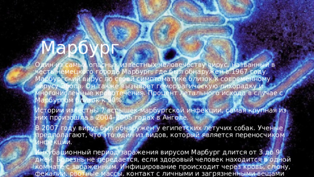 Что делается с зараженным файлом если он не подлежит лечению от вируса