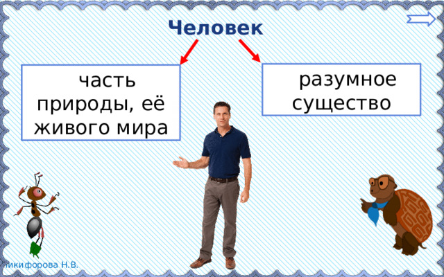 Проект 6 класс человек и природа бесплатно