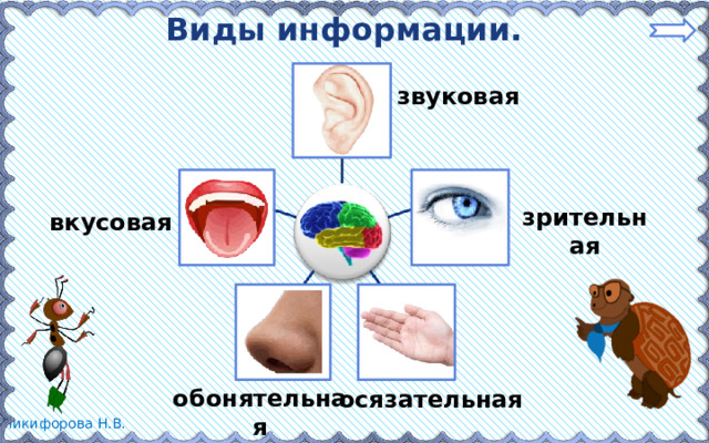 Вкусовая информация. Вкусовой вид информации. Виды звуковой информации. Зрительные звуковые осязательные вкусовые. Зрительная, вкусовая, звуковая, тактильная, обонятельная.