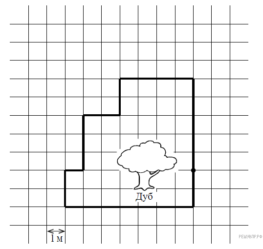 Ученый кот обошел вокруг дуба и вернулся в исходную точку на рисунке показан