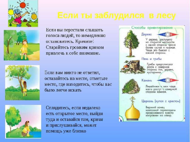 Чтобы не заблудиться в лесах надо знать приметы схема предложения