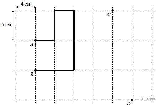 Впр по математике 4 лист бумаги расчерчен. Лист бумаги расчерчен на прямоугольники. Лист бумаги расчерчен на квадраты со стороной 8 см. Лист расчерчен на прямоугольники со сторонами. Лист бумаги расчерчен на квадраты со сторонами 7 см. от точки а.