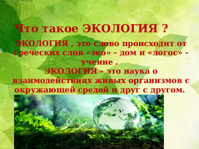 Экология это 3 класс окружающий мир презентация