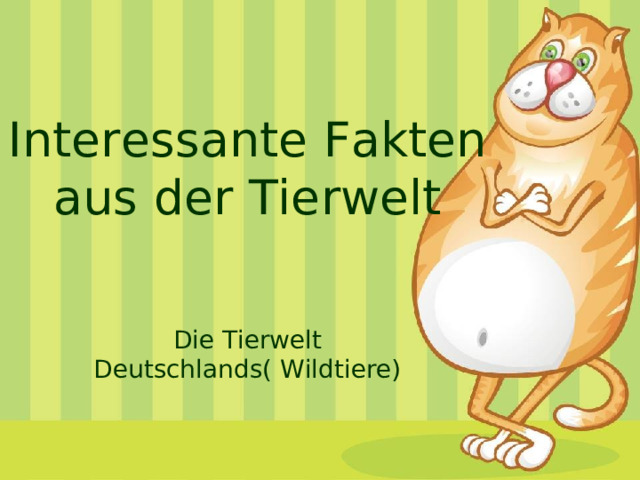Interessante Fakten aus der Tierwelt Die Tierwelt Deutschlands( Wildtiere) 