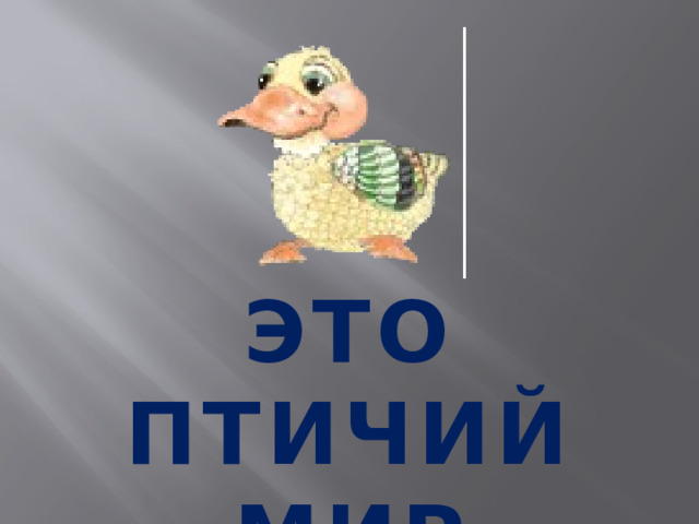 ЭТО ПТИЧИЙ МИР 