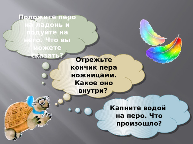 Положите перо на ладонь и подуйте на него. Что вы можете сказать? Отрежьте кончик пера ножницами. Какое оно внутри?  Капните водой на перо. Что произошло? 