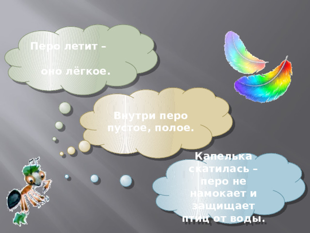 Перо летит – оно лёгкое. Внутри перо пустое, полое. Капелька скатилась – перо не намокает и защищает птиц от воды. 