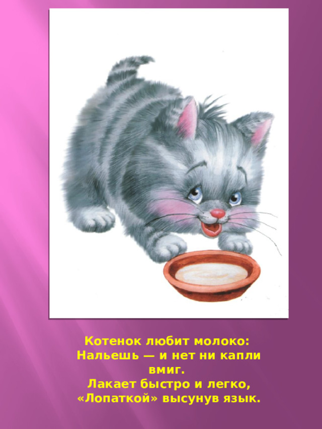 Кошка лакает молоко картинки для детей